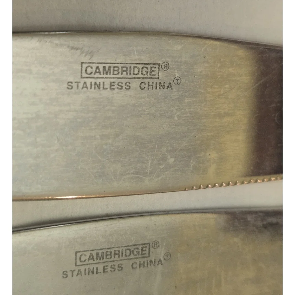 4 Lot CAMBRIDGE CBS98 Stainless Dinner Knife 9 3/8